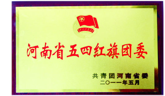 河南省五四红旗团委