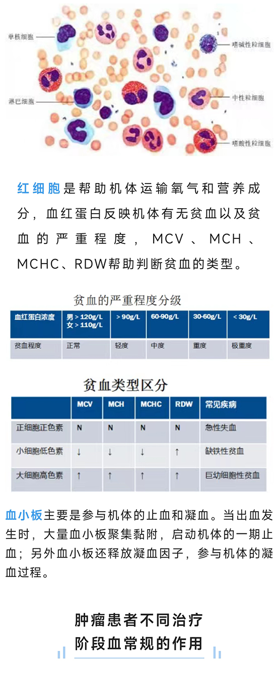 微信图片_20220510105702_02
